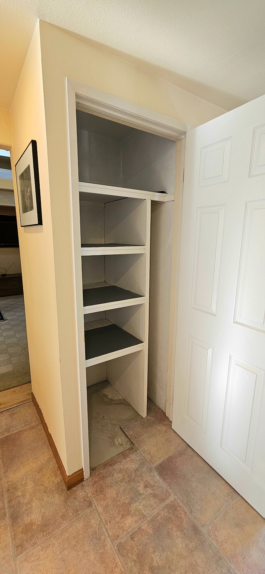Kitchen pantry
