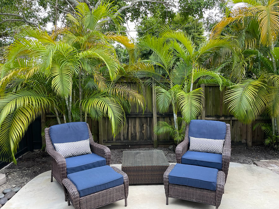 Your private backyard oasis for sun bathing and relaxing!