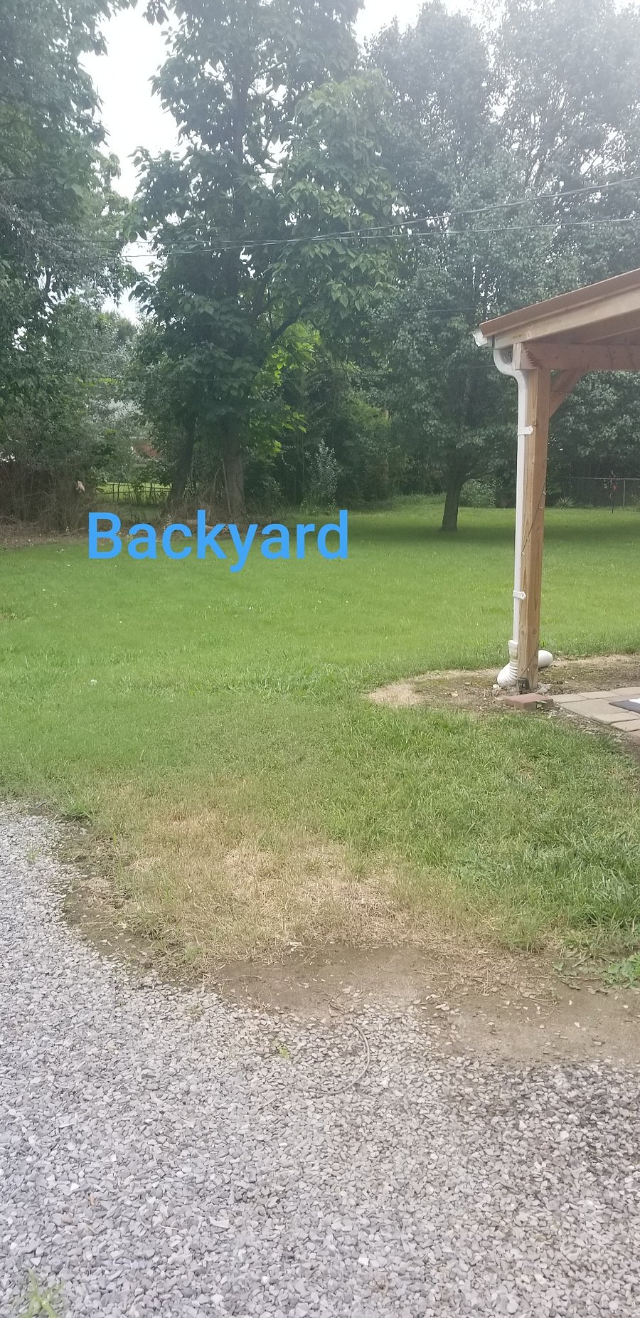 Backyard area