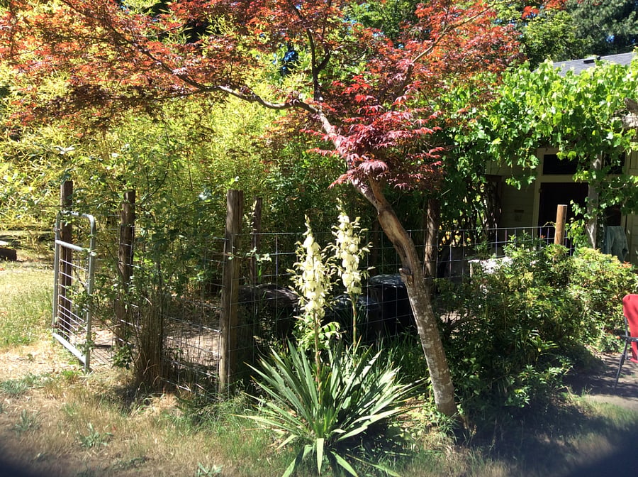 Furnished Finder property 635892_1 photo 16