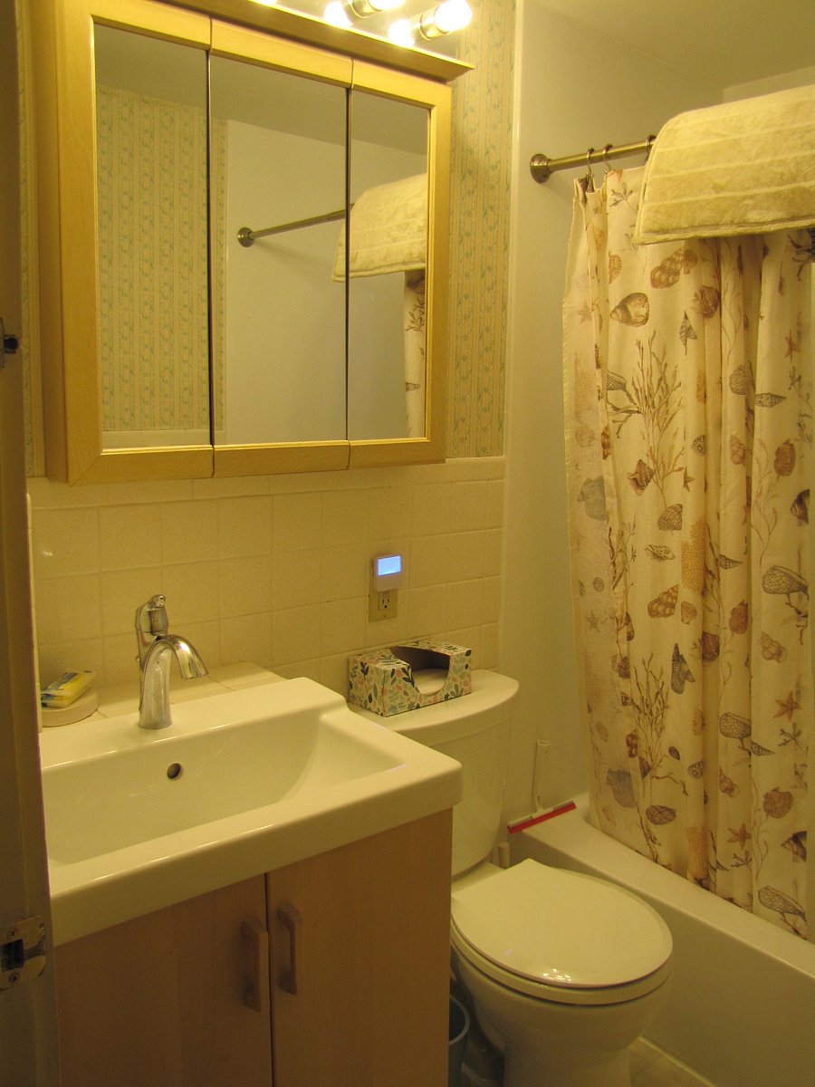 Bath sink, cabinet and commode