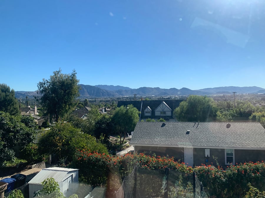 View from the window