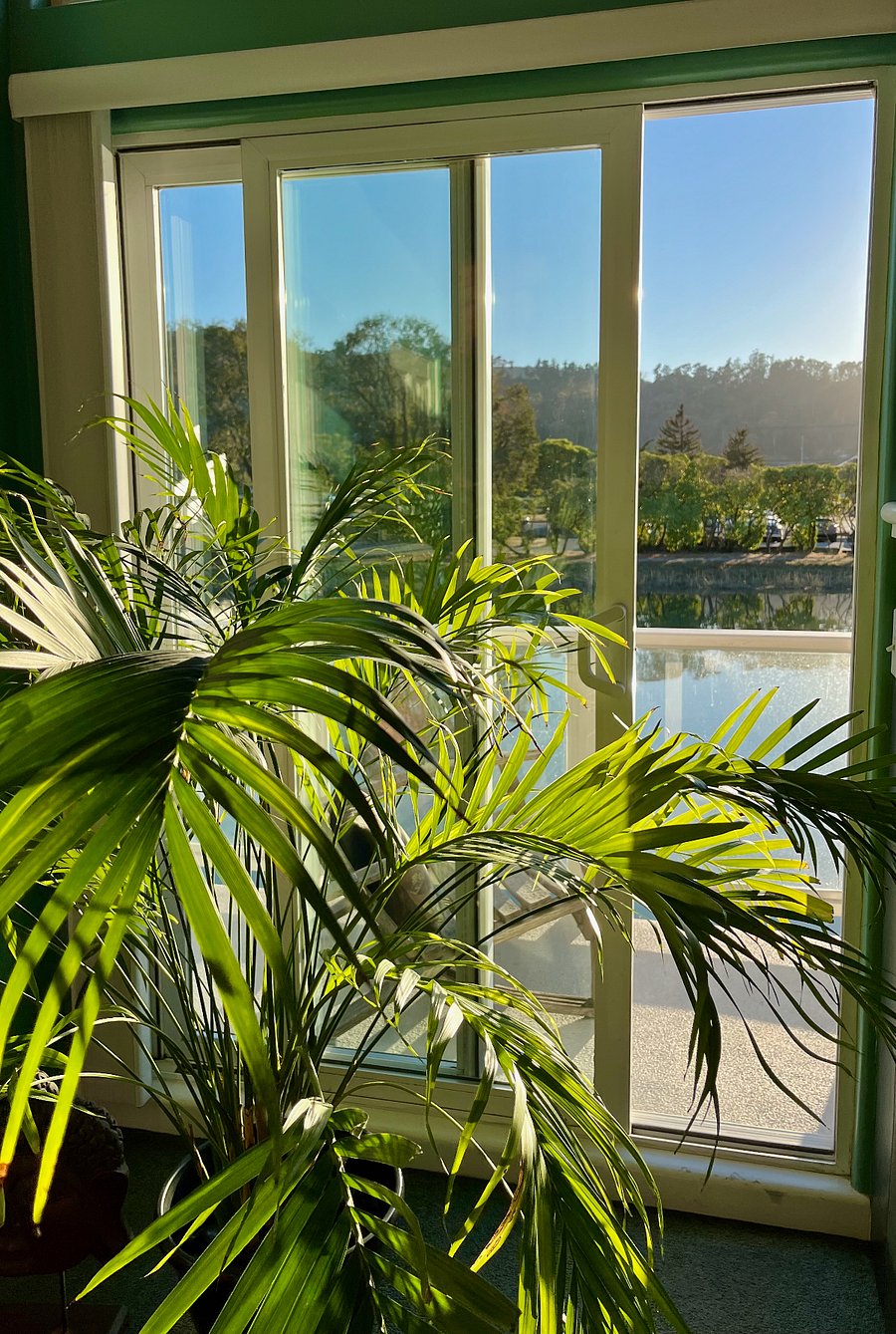 Another view from the Living Room