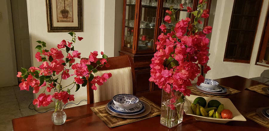 Furnished Finder property 636476_1 photo 4