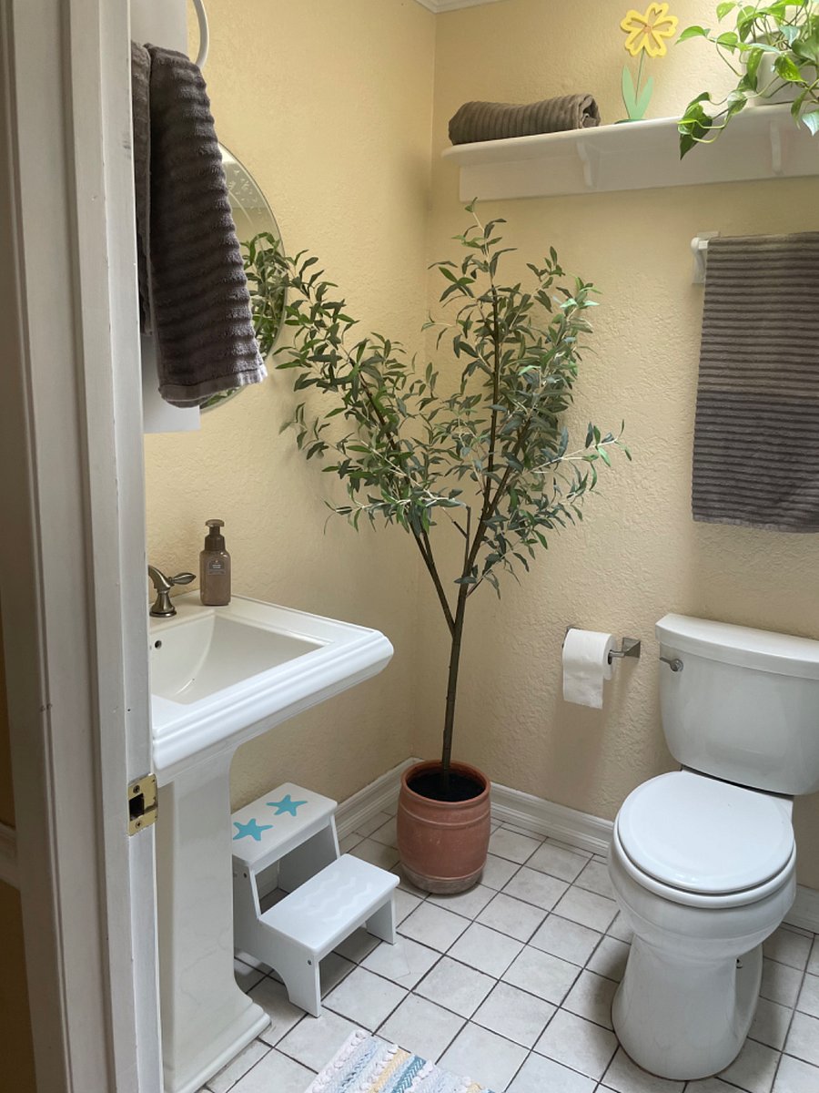 Furnished Finder property 636890_1 photo 7