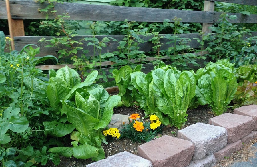 Gardens