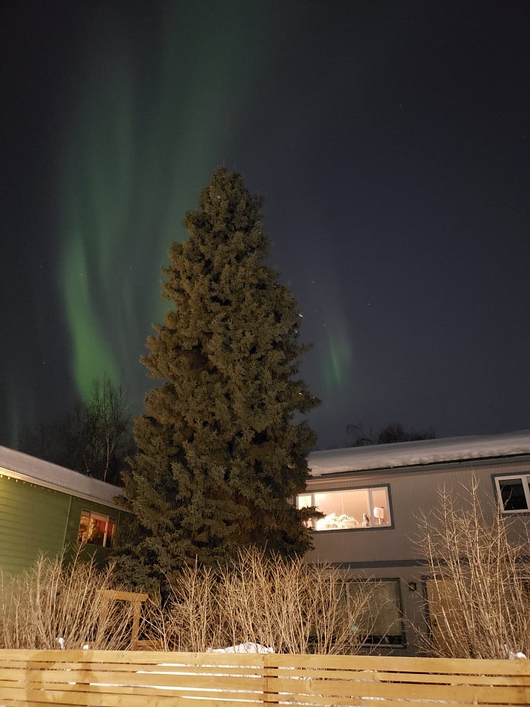 Aurora Borealis over the house