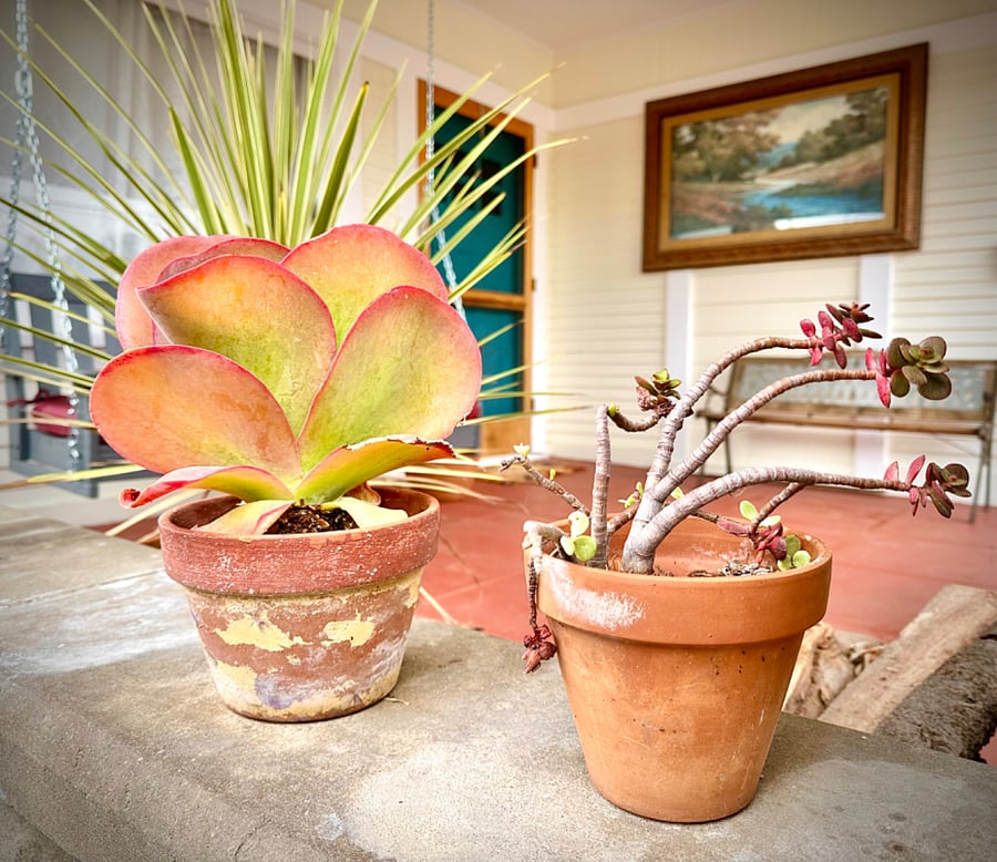 Furnished Finder property 637263_1 photo 14