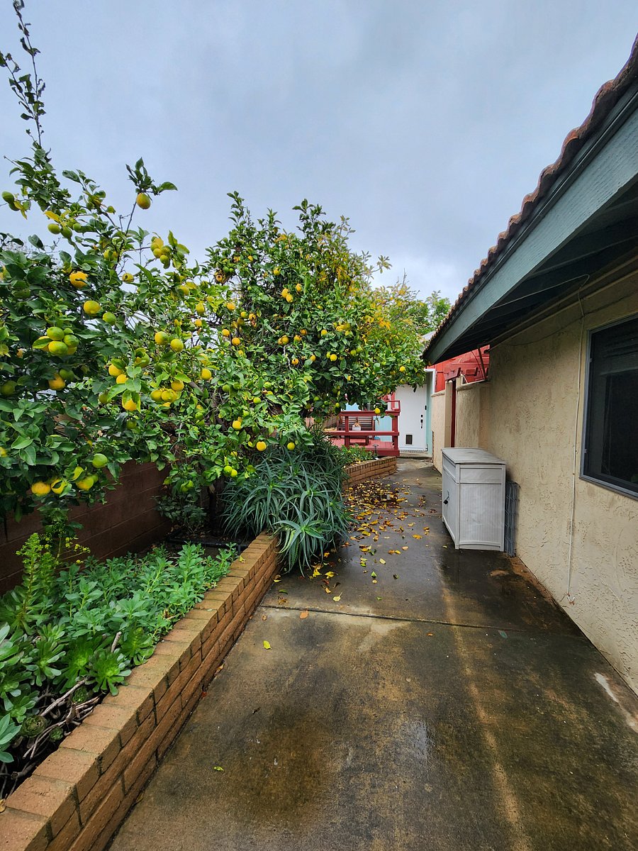 Furnished Finder property 637411_1 photo 16