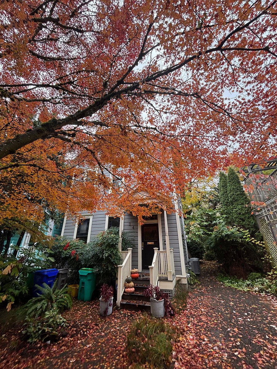 Furnished Finder property 637558_1 photo 4