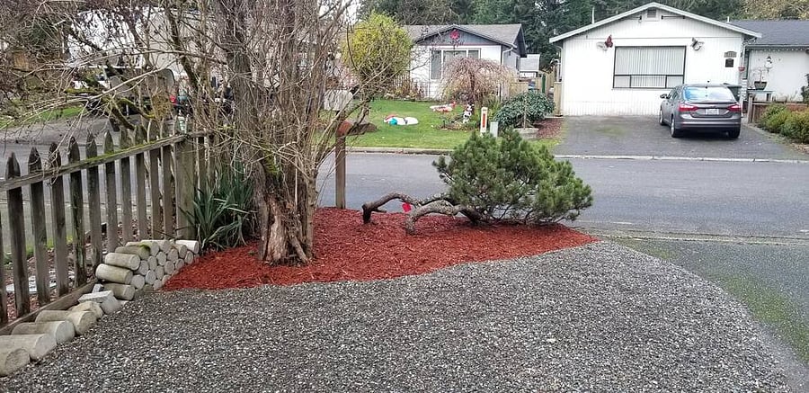 Front Yard Lawn.