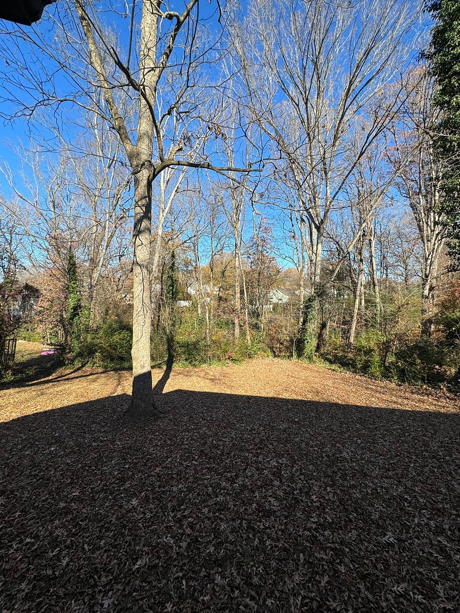 Furnished Finder property 637763_1 photo 13