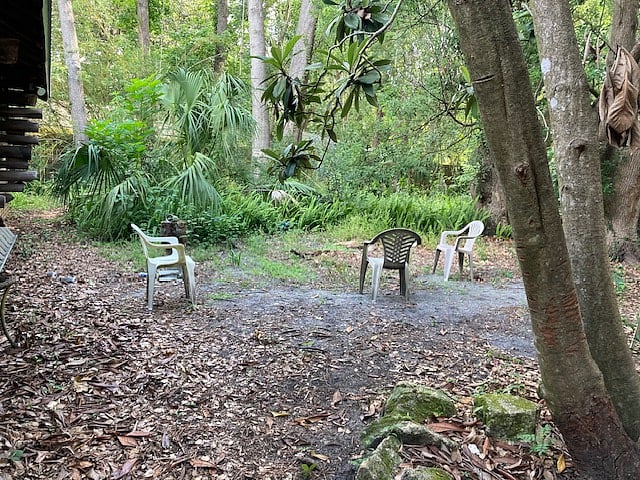 Back yard