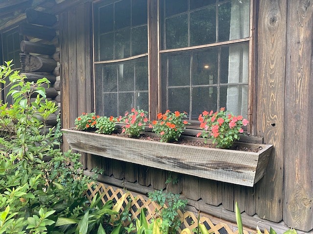 Windows with flower boxes