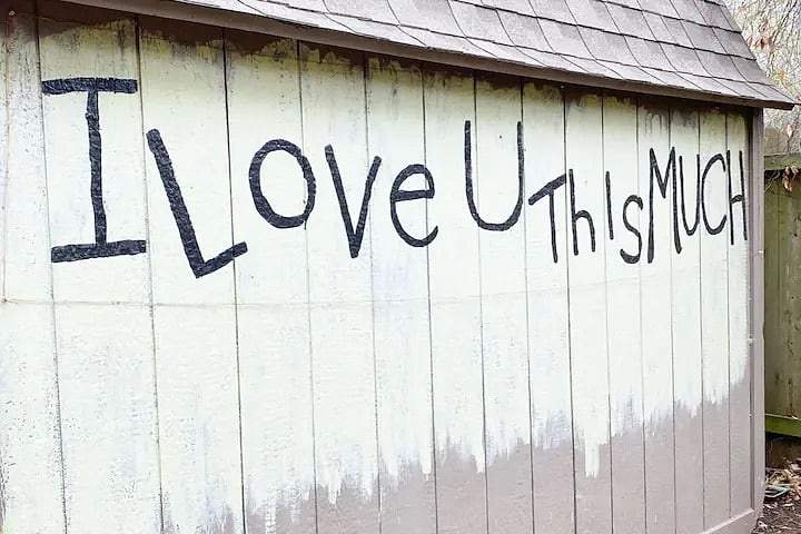 Instagram photo spot on the side of our back door shed!