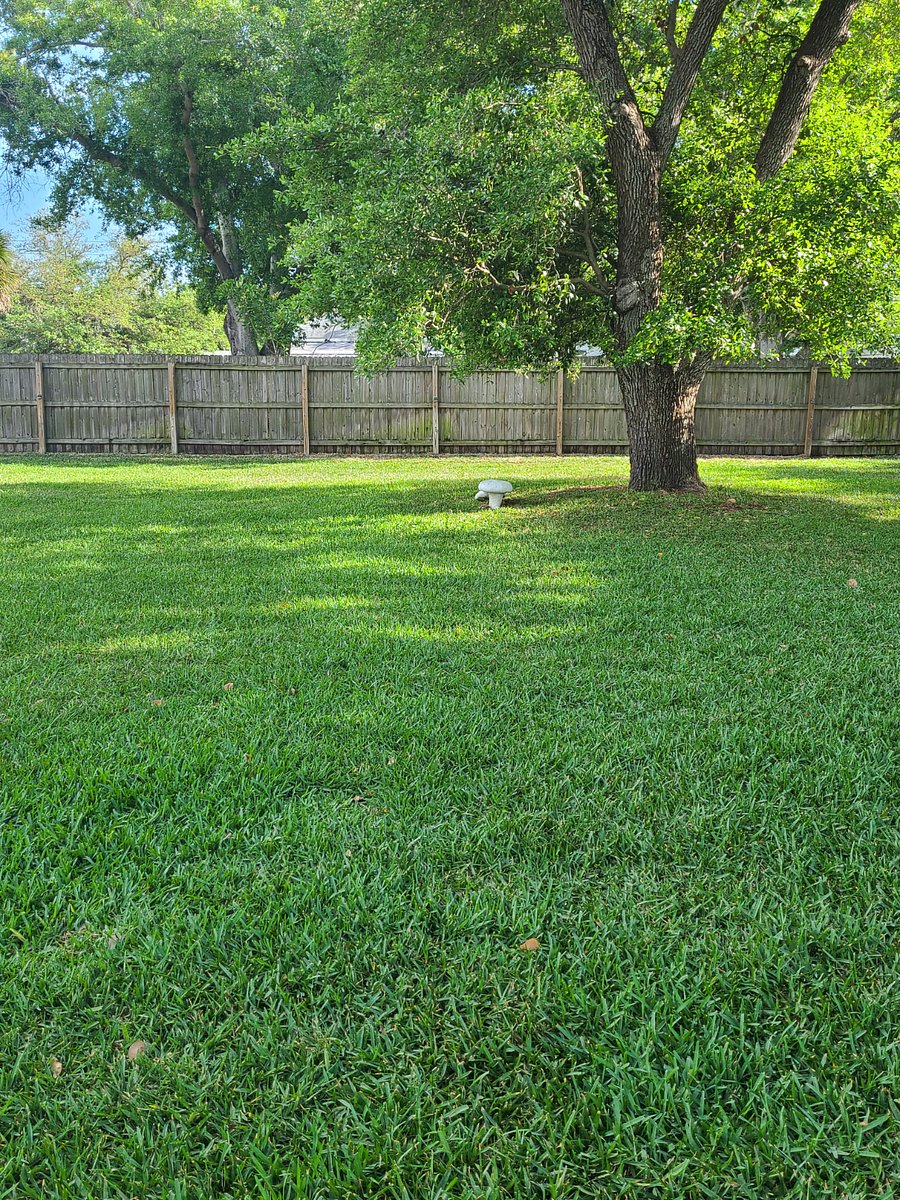 Furnished Finder property 637996_1 photo 20