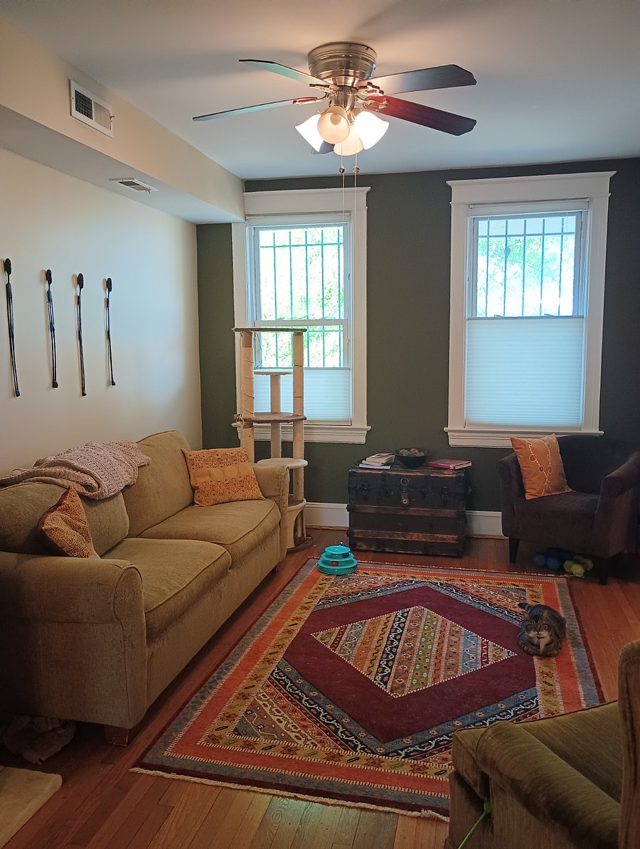 Furnished Finder property 638069_1 photo 6