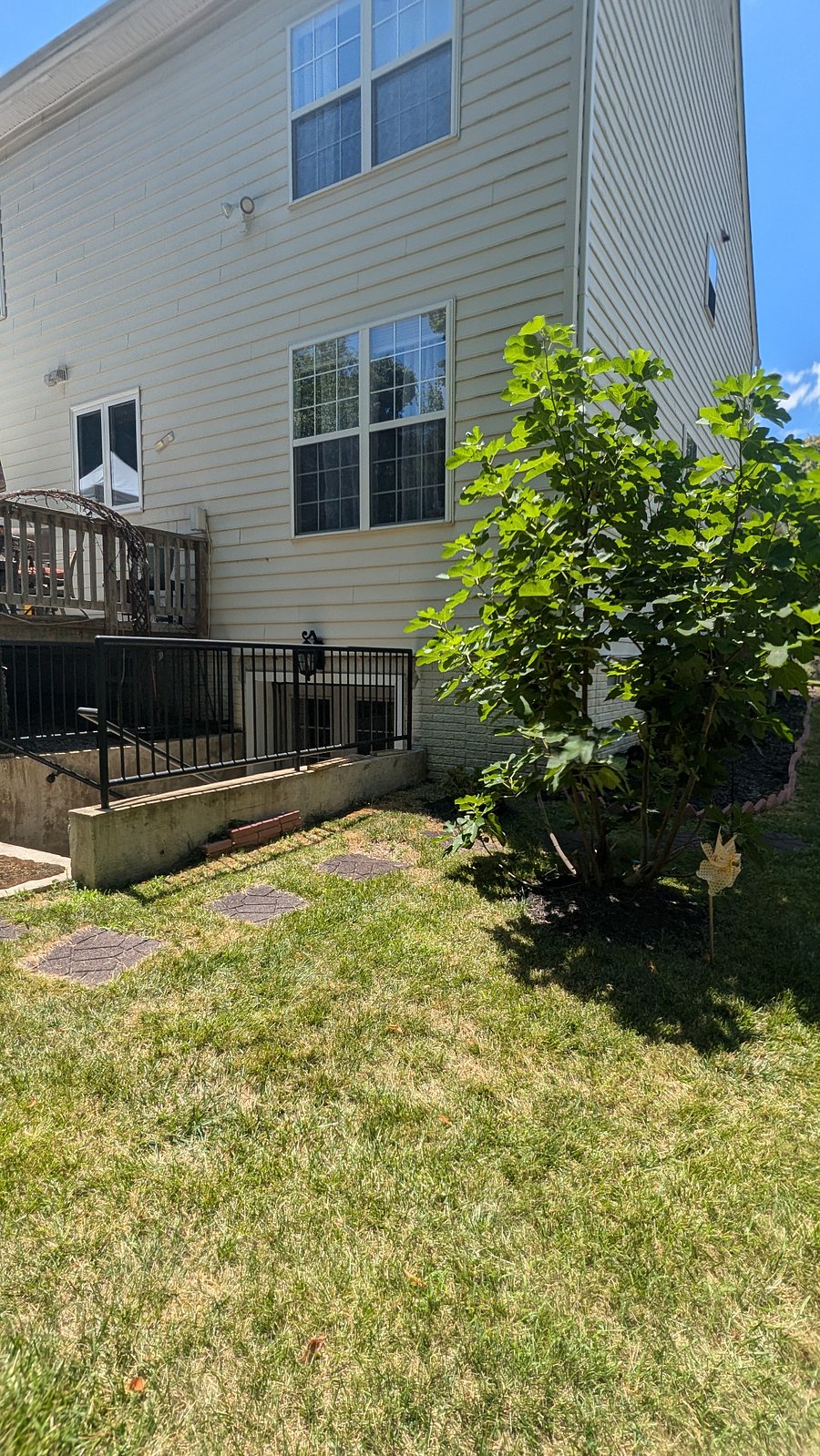 Furnished Finder property 638142_1 photo 14