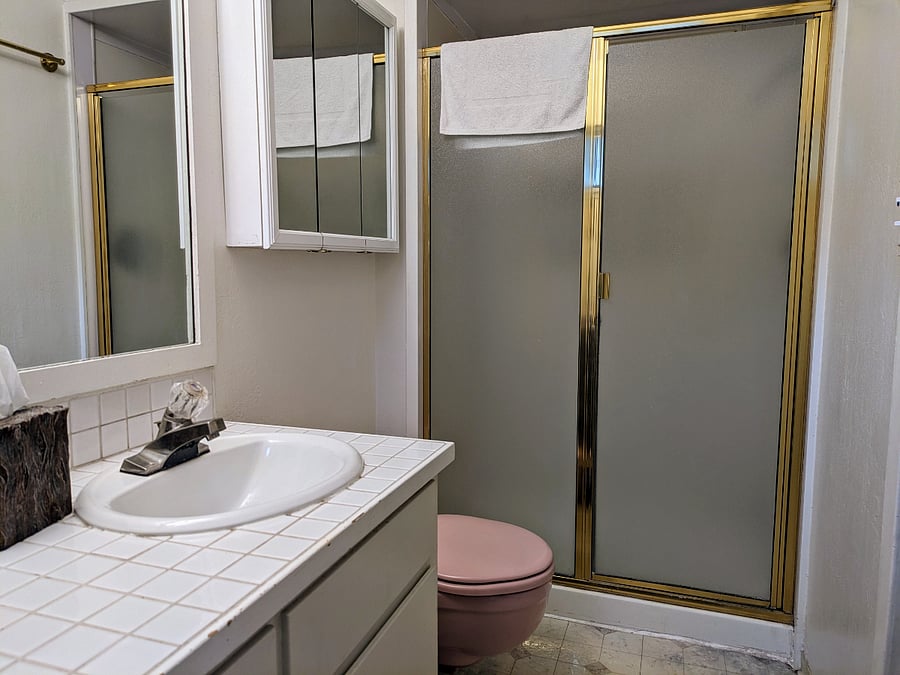 Primary bedroom bathroom with walk in shower