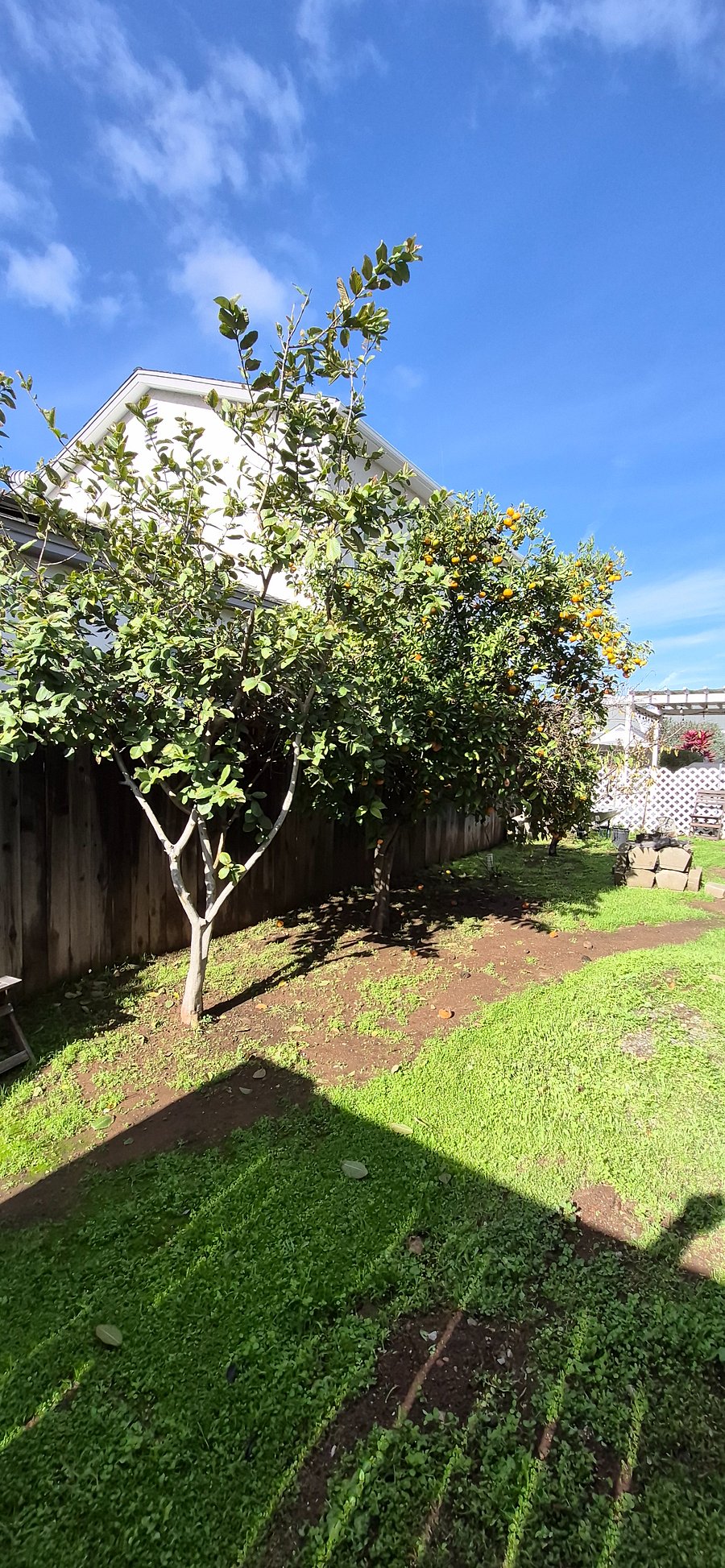 Furnished Finder property 638341_1 photo 14