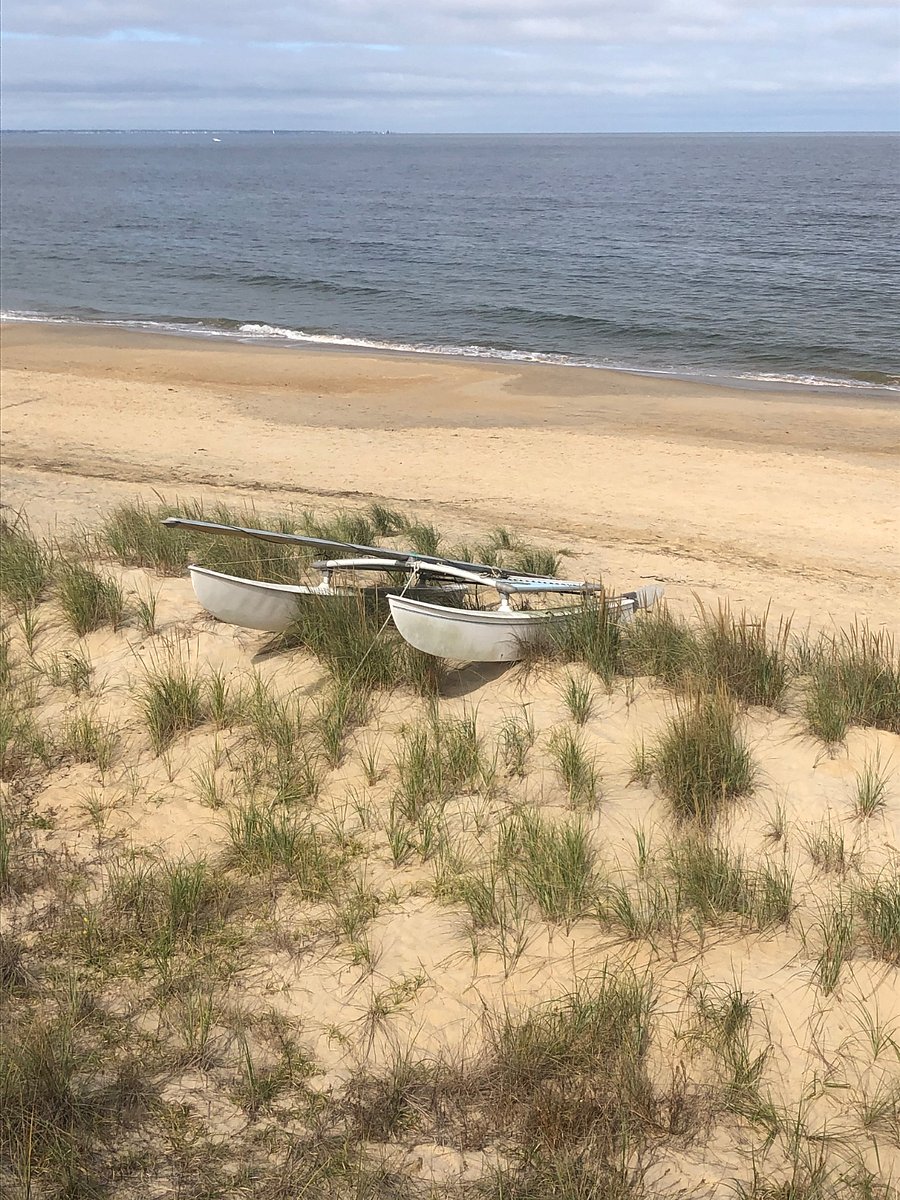 Directly on beach