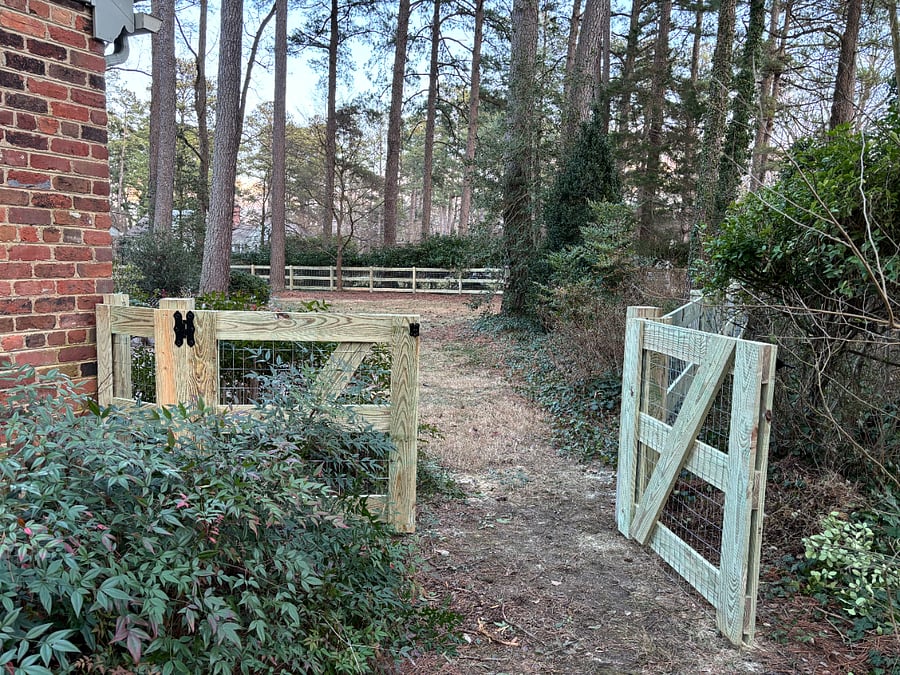 Fenced Backyard