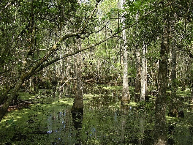 Jean Lafitte National Historical Park and Preserve