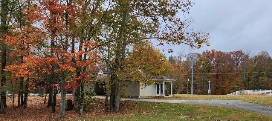 Furnished Finder property 638451_1 photo 17