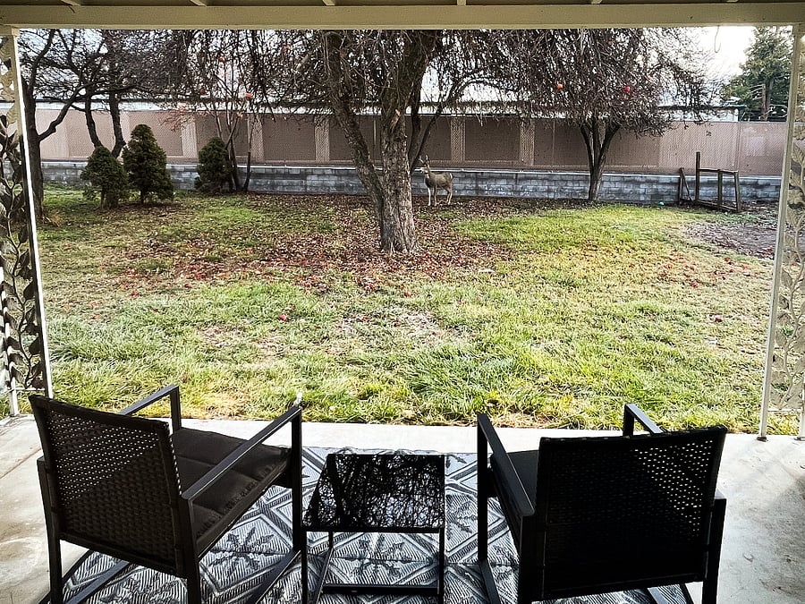 Furnished Finder property 638472_1 photo 9