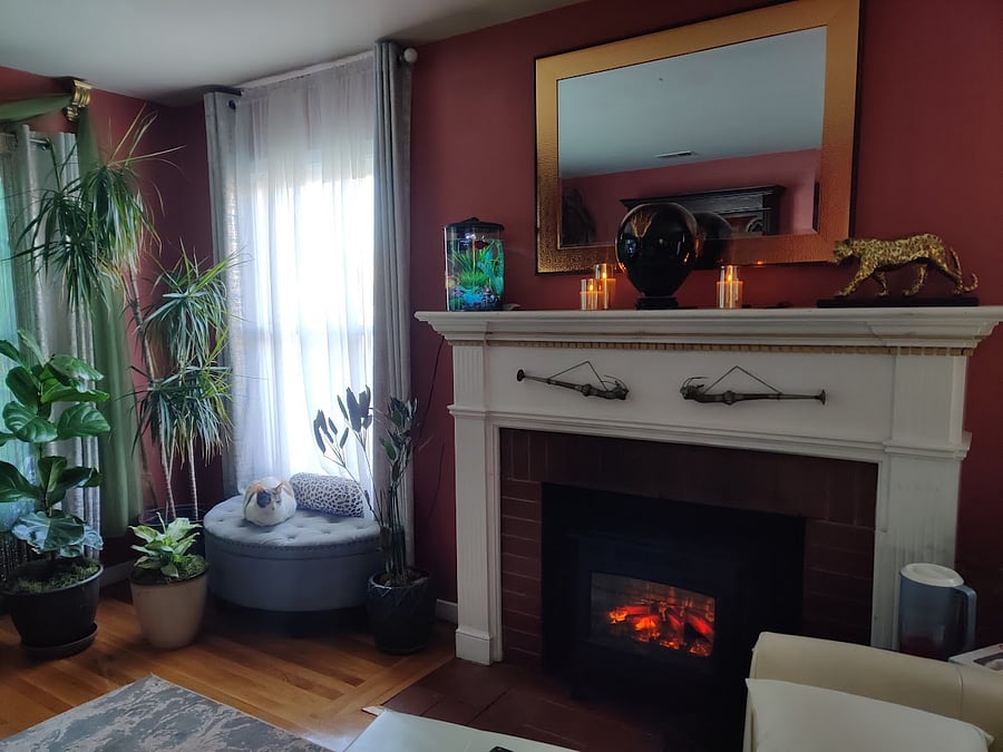 Furnished Finder property 638560_1 photo 21