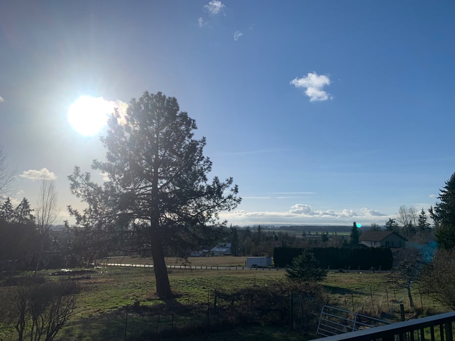 Views from the deck looking south