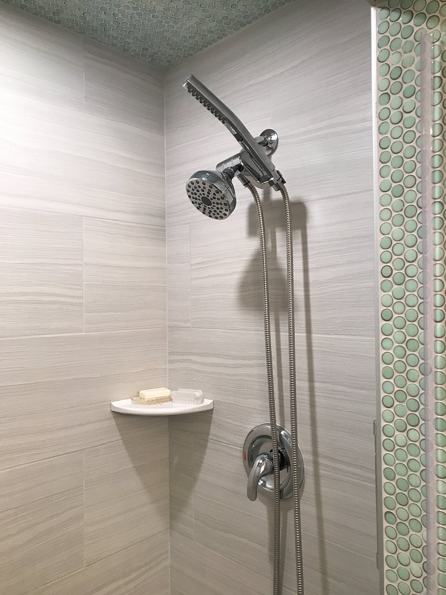 Hand held shower