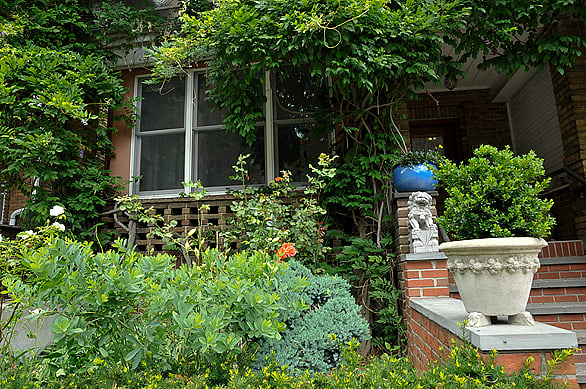 Garden at front of house