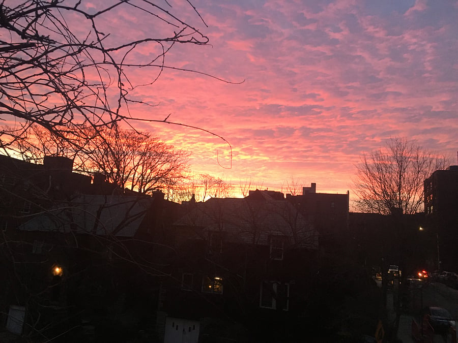 Sunset taken on our street