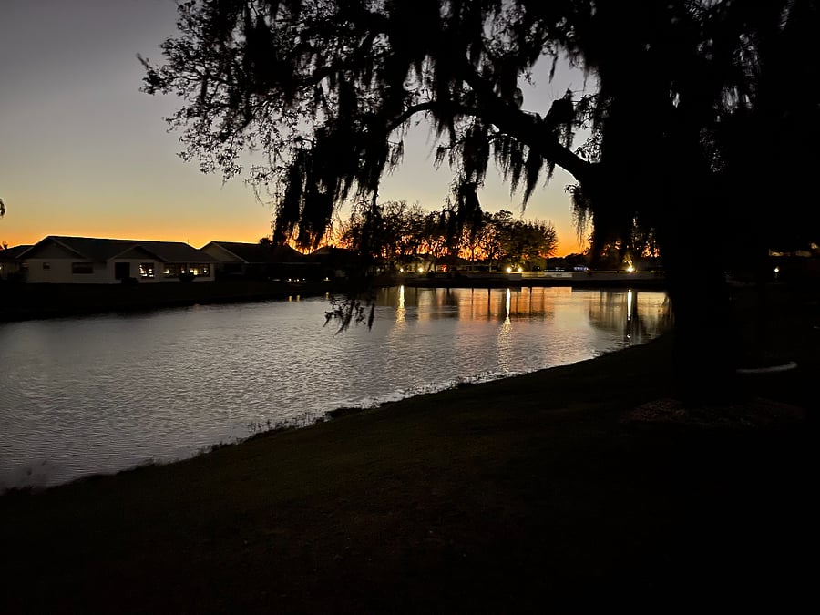 Furnished Finder property 639256_1 photo 25