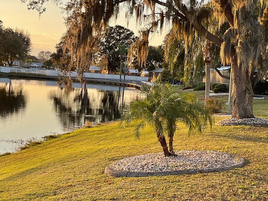 Furnished Finder property 639256_1 photo 27