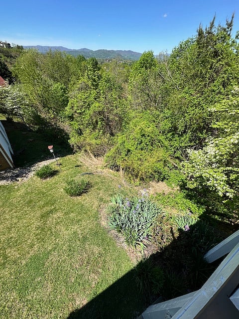 Furnished Finder property 639361_1 photo 22