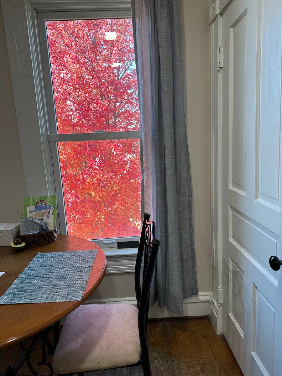Dining area with view of a beautiful tree in the yard.