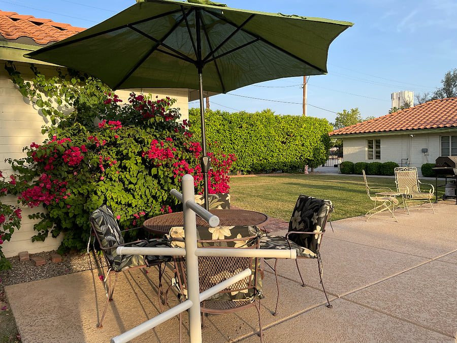 Shared outdoor space in backyard