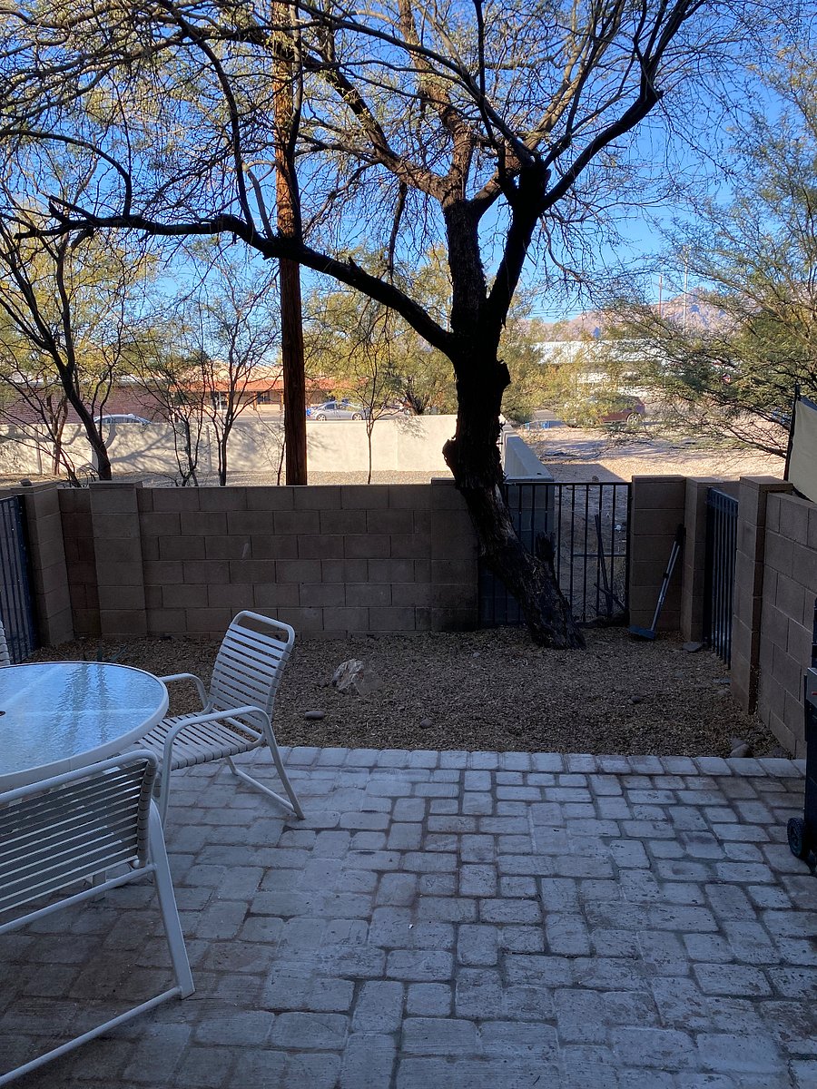 Enclosed backyard