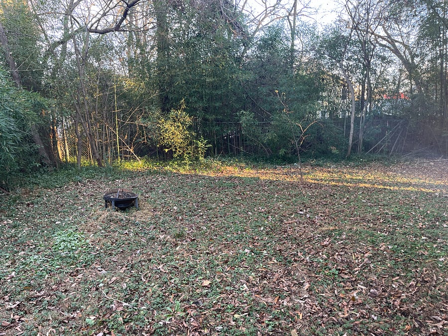 Yard behind our unit