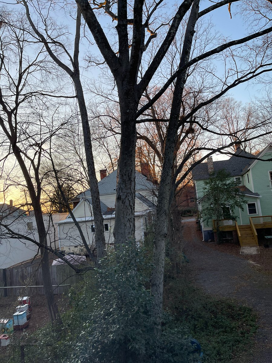 Looking out towards the front of the apartment