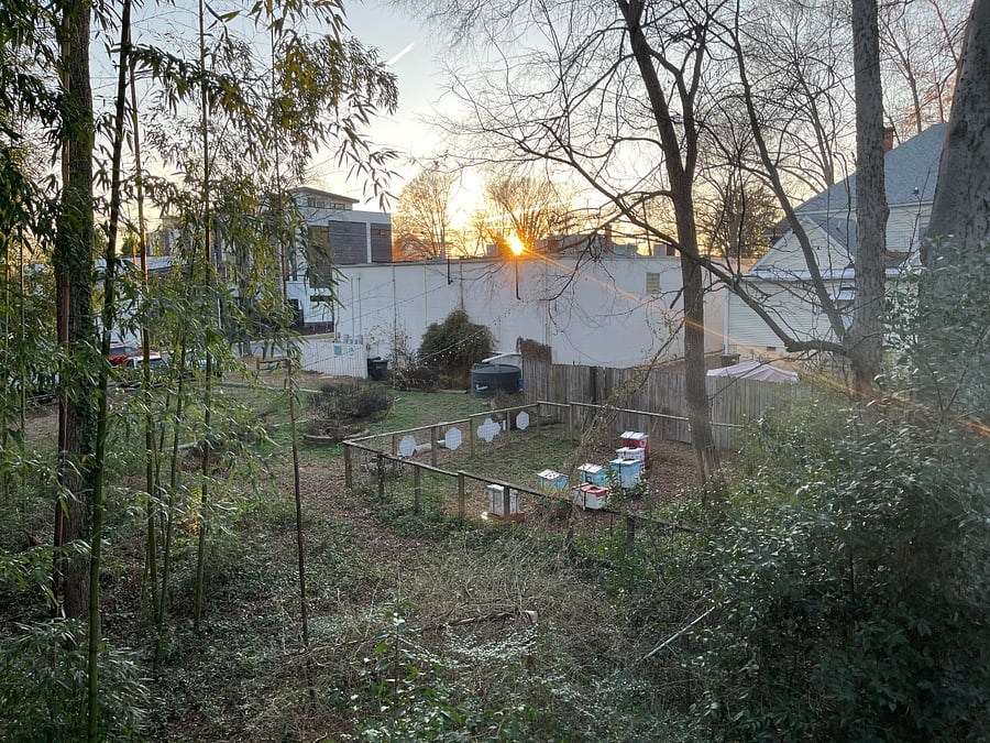 View looking out from the apartment overlooking urban garden.