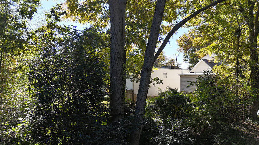 Furnished Finder property 639612_1 photo 20