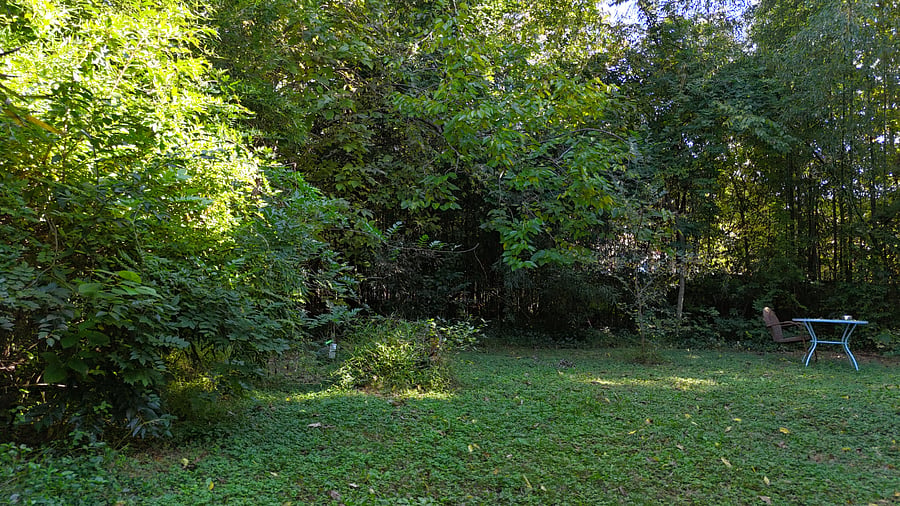 Furnished Finder property 639612_1 photo 21