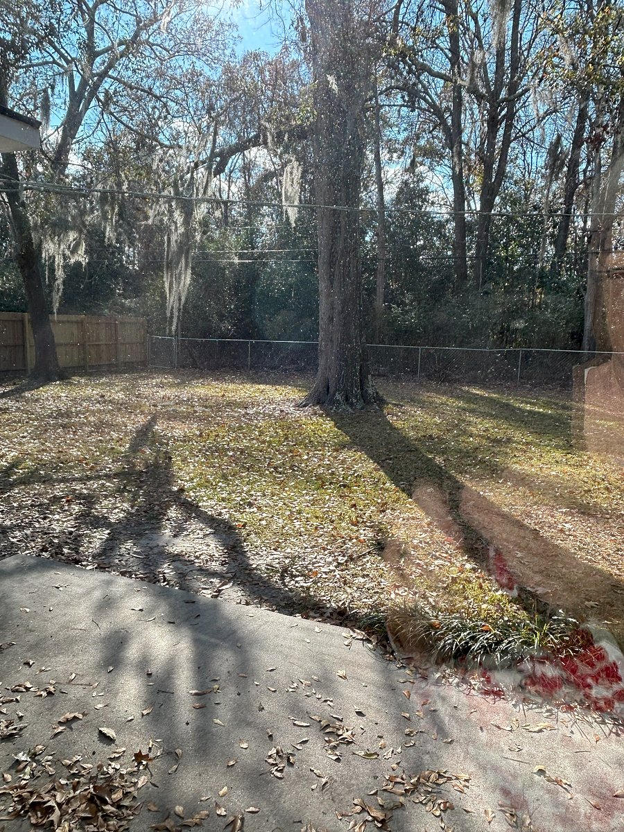 Furnished Finder property 640186_1 photo 17