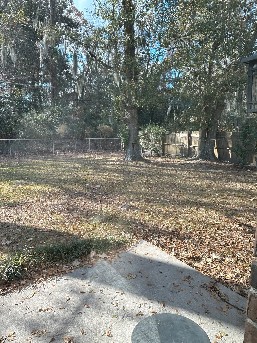 Furnished Finder property 640186_1 photo 18