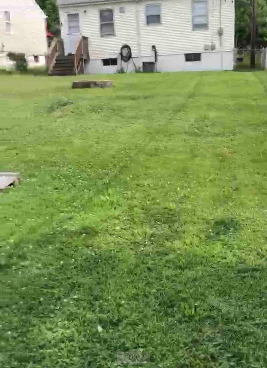 Furnished Finder property 640202_1 photo 15