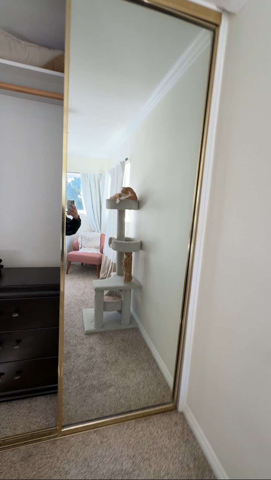 Furnished Finder property 640206_1 photo 3