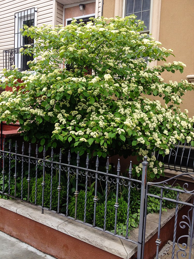 View of entrance from the sidewalk